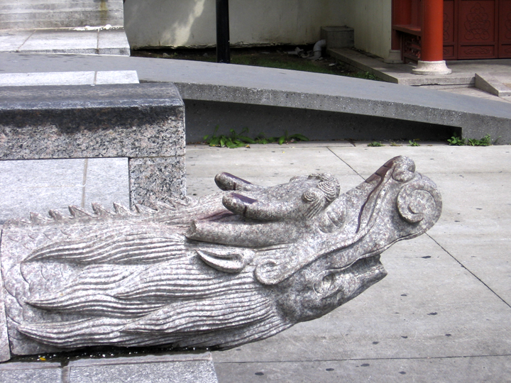dragon